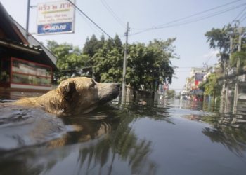 Quand le climat s’emballe, votre assurance habitation trinque