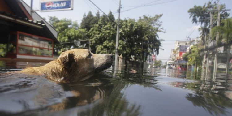 Quand le climat s’emballe, votre assurance habitation trinque