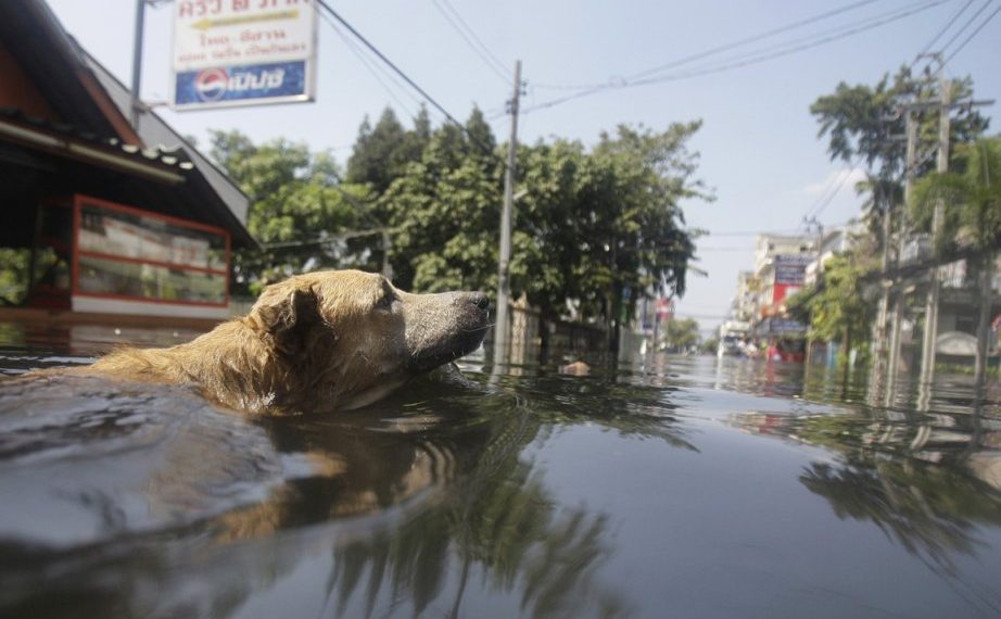 Quand le climat s’emballe, votre assurance habitation trinque