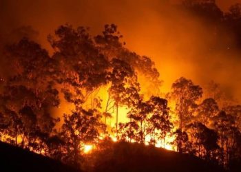 Feu de forêt : indemnisation de l’assurance habitation