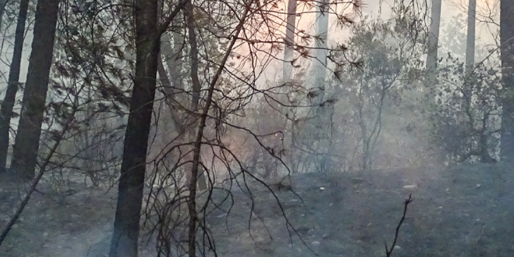 découvrez les tarifs avantageux pour votre assurance habitation 2026 en bretagne et pays de la loire. protégez votre logement au meilleur prix dès maintenant.