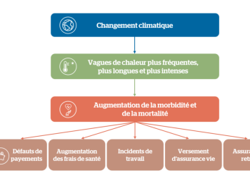 découvrez comment le changement climatique influence la hausse des primes d'assurance et les enjeux pour les assurés.