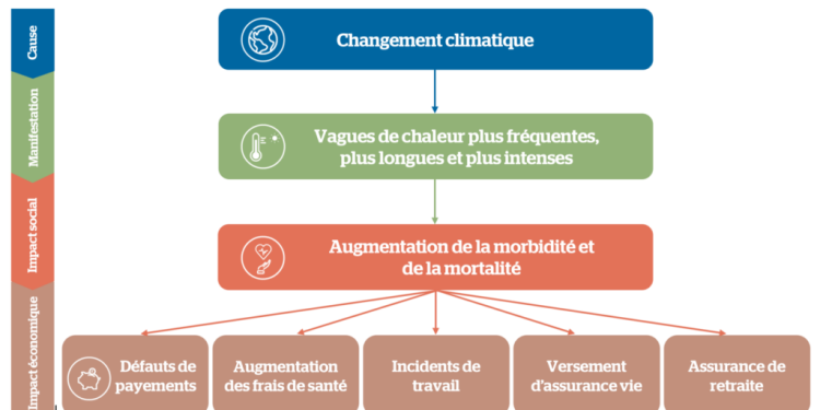 découvrez comment le changement climatique influence la hausse des primes d'assurance et les enjeux pour les assurés.