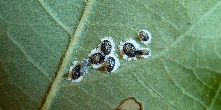 découvrez le débat complexe autour des squats en france, entre enjeux sociaux, juridiques et économiques.