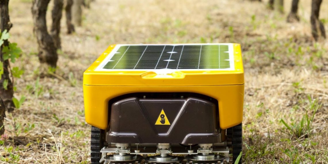 découvrez les atouts du robot tondeur selon marc knaepen, expert en jardinage, et comment cet appareil innovant peut transformer l'entretien de votre pelouse.