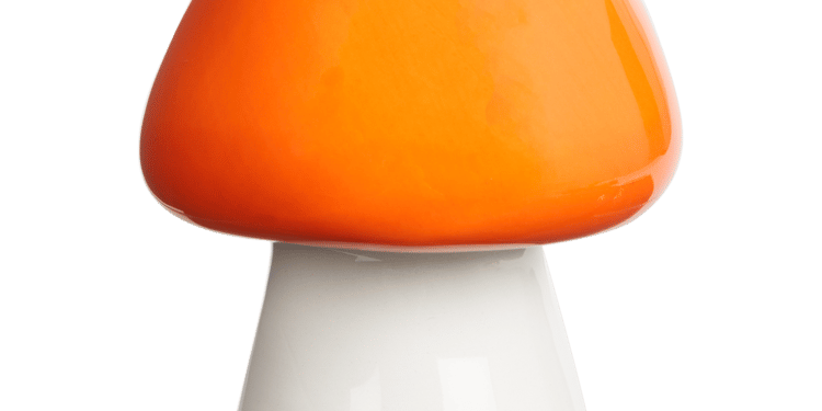 découvrez notre sélection de céramiques exceptionnelles à moins de 3€ chez action, alliant qualité et petit prix pour décorer votre intérieur avec style.