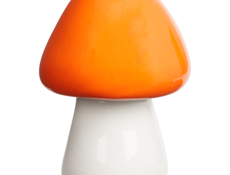 découvrez notre sélection de céramiques exceptionnelles à moins de 3€ chez action, alliant qualité et petit prix pour décorer votre intérieur avec style.