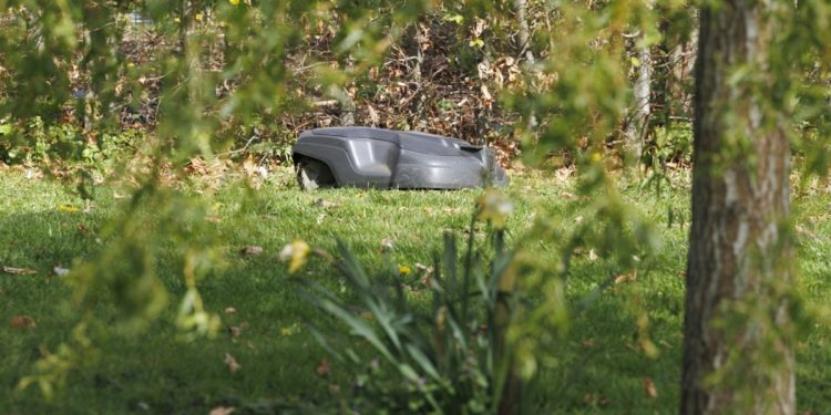 Les atouts d&rsquo;un robot tondeur : l&rsquo;analyse de Marc Knaepen, expert en entretien de pelouse