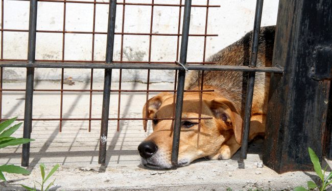 découvrez les enjeux de la sous-assurance en france, les négligences courantes et les coûts associés pour mieux protéger vos biens et éviter les mauvaises surprises.