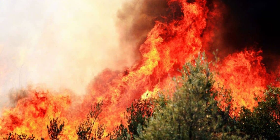 tout savoir sur la reconnaissance des sinistrés d'incendies et les démarches pour obtenir une indemnisation adaptée.